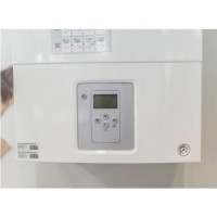 Газовый котел Bosch WBN 6000-24C RN S5700