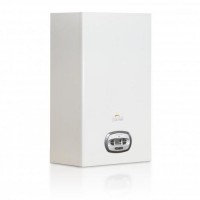 Газовый котел Ferroli Bluehelix TECH RRT 24H
